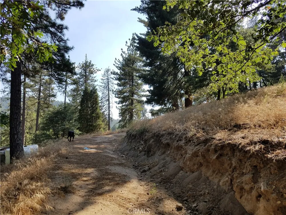 24093 Zurich Drive Crestline, CA 92325