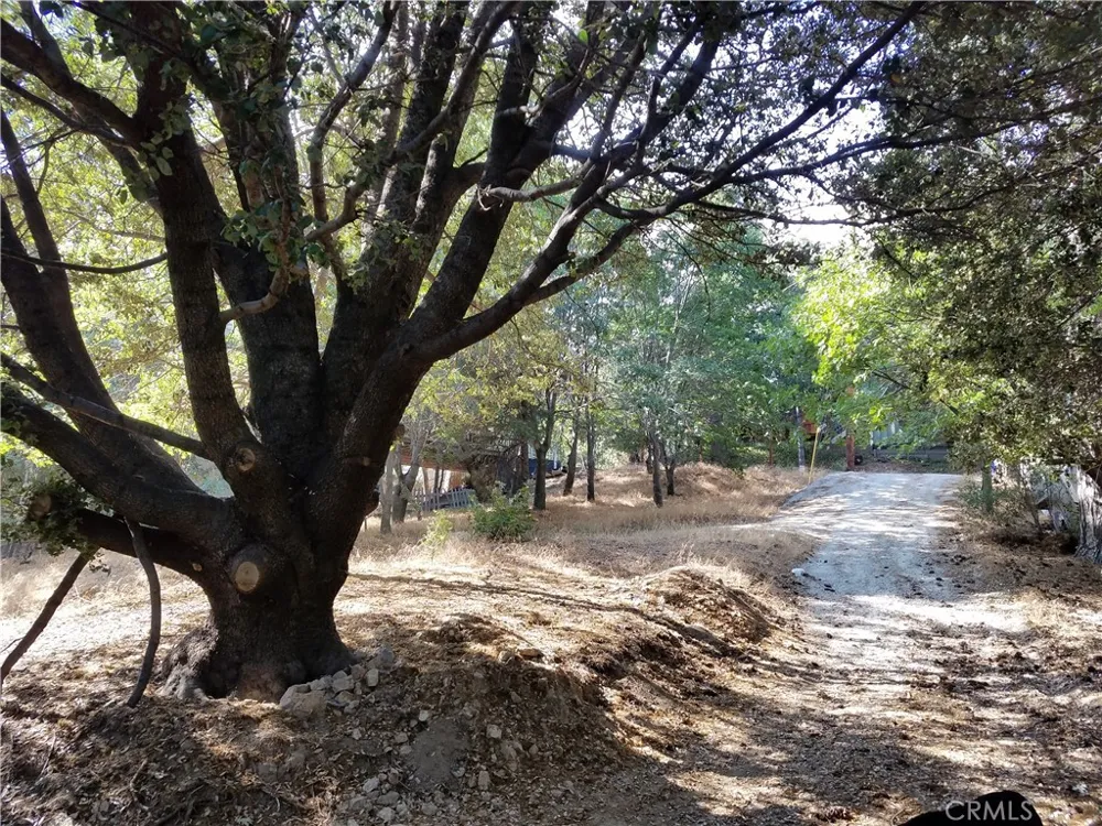 24093 Zurich Drive Crestline, CA 92325
