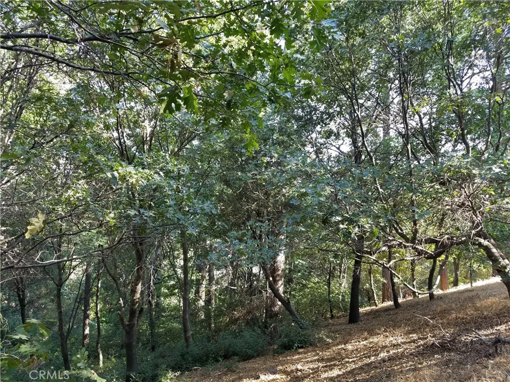 24093 Zurich Drive Crestline, CA 92325
