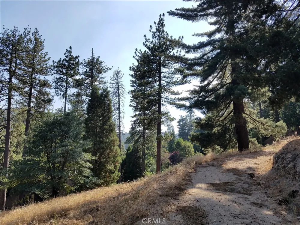24093 Zurich Drive Crestline, CA 92325