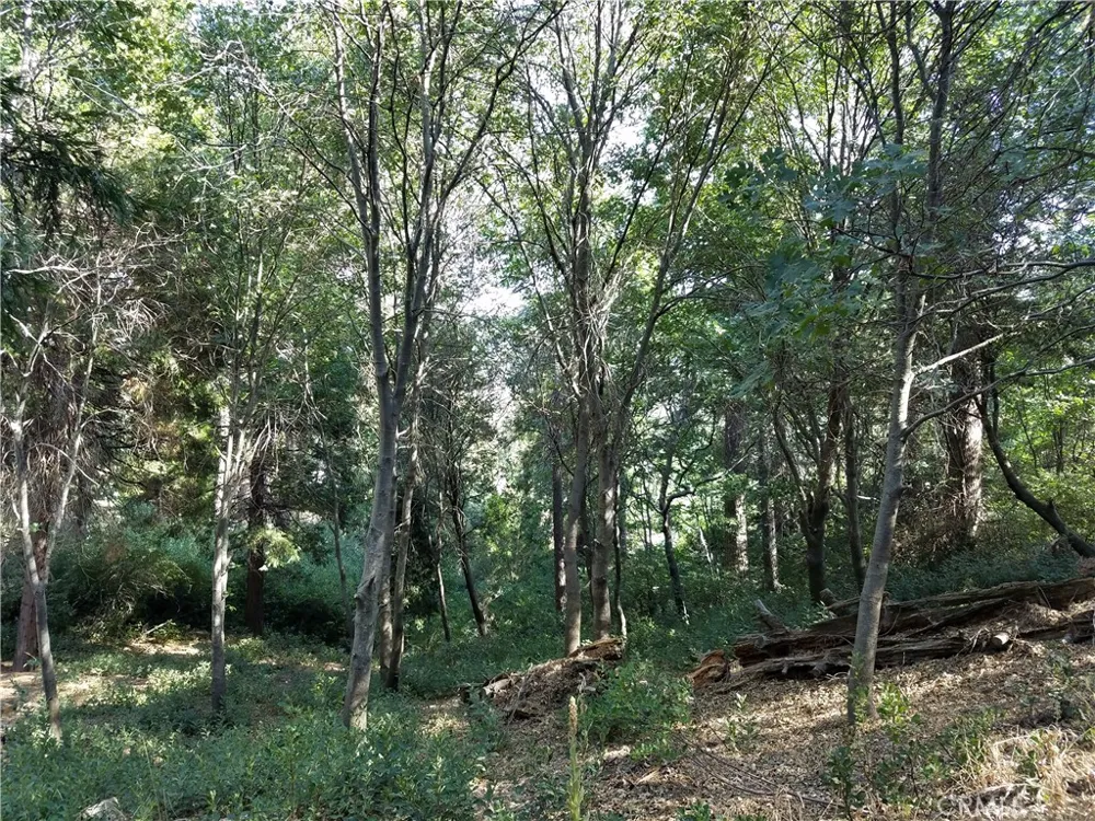 24093 Zurich Drive Crestline, CA 92325