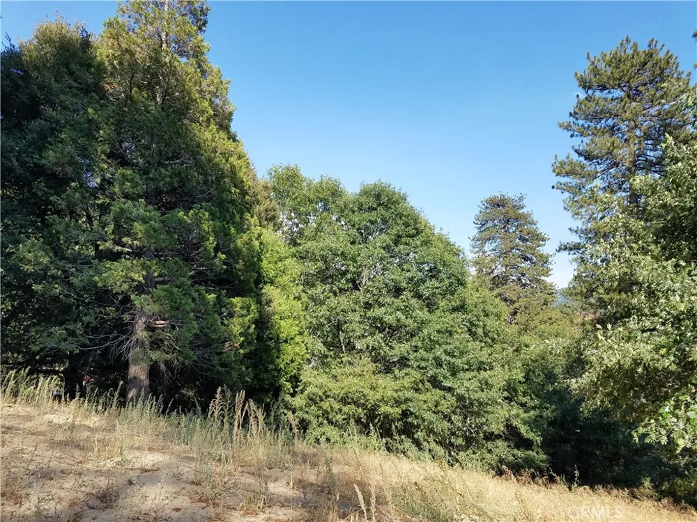 24093 Zurich Drive Crestline, CA 92325