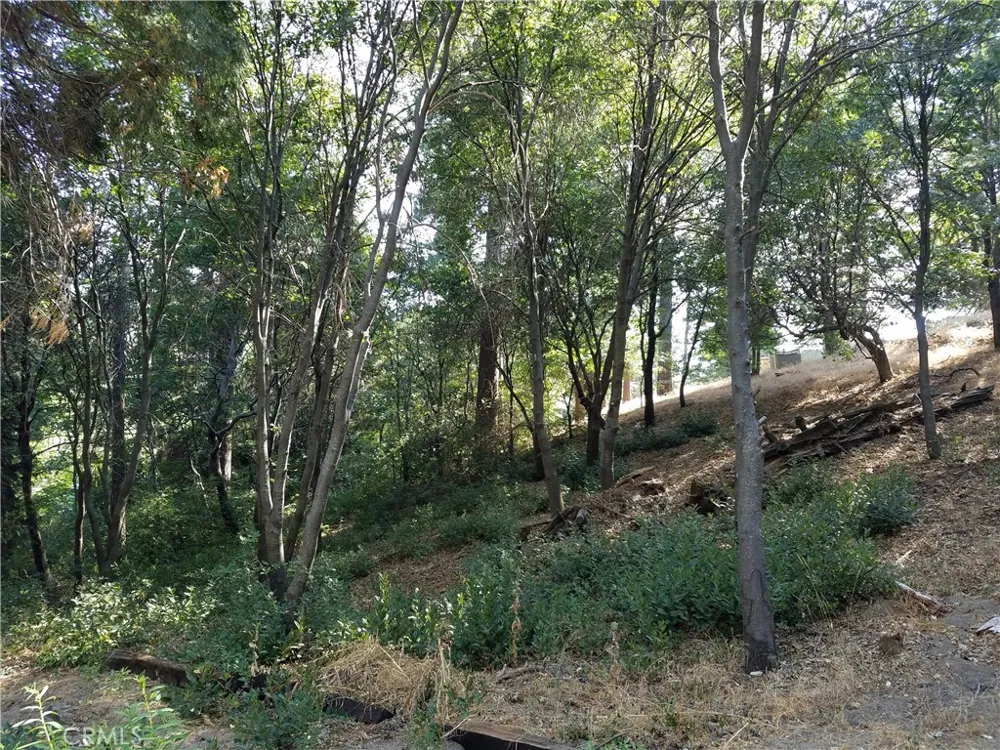 24093 Zurich Drive Crestline, CA 92325