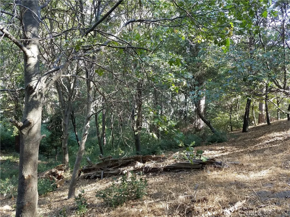 24093 Zurich Drive Crestline, CA 92325