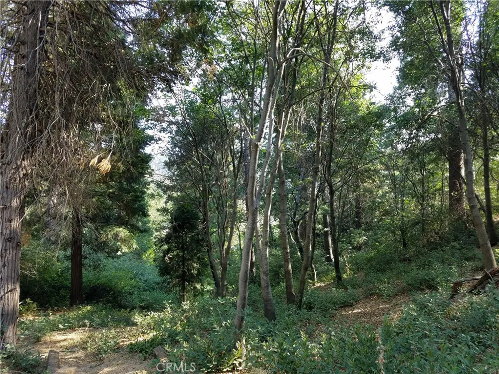 24093 Zurich Drive Crestline, CA 92325