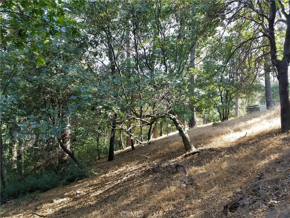 24093 Zurich Drive Crestline, CA 92325