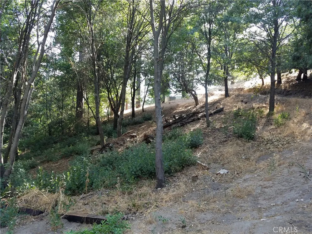 24093 Zurich Drive Crestline, CA 92325