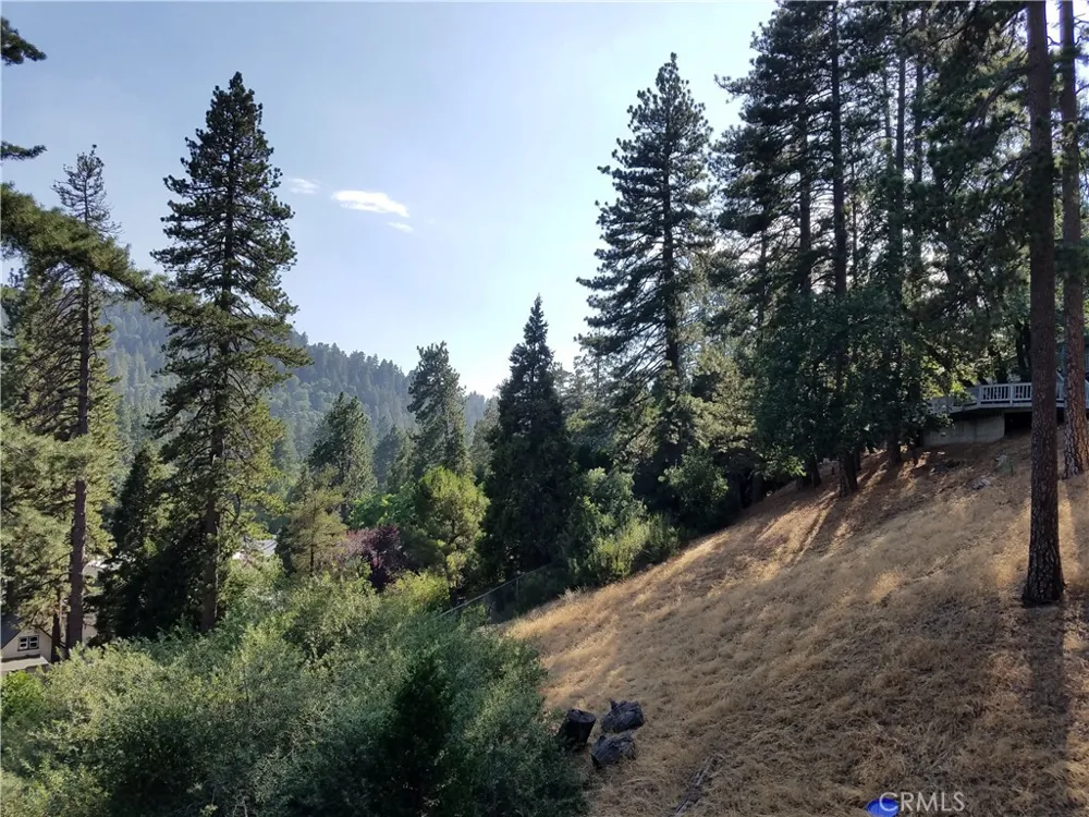 24093 Zurich Drive Crestline, CA 92325