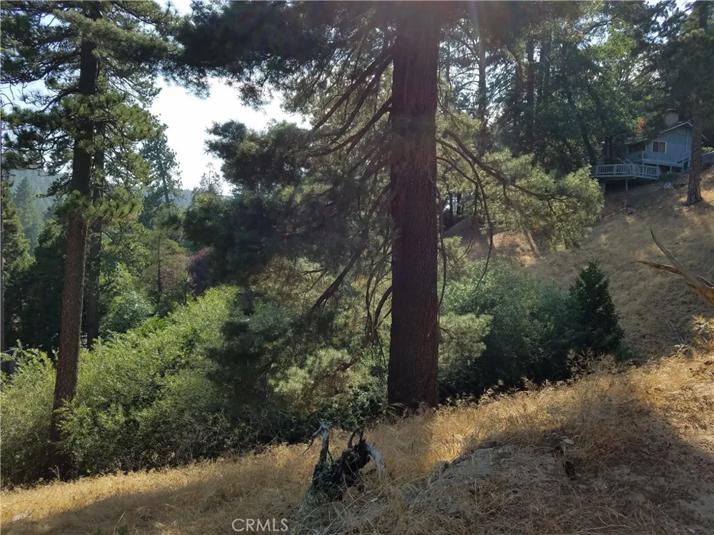 24093 Zurich Drive Crestline, CA 92325