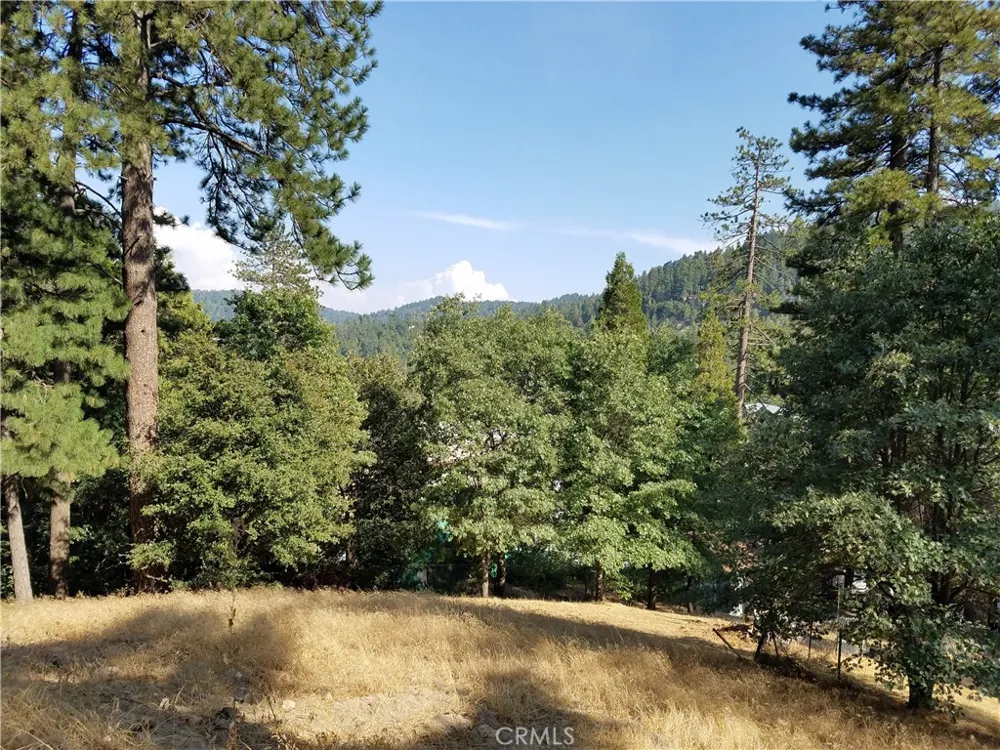 24093 Zurich Drive Crestline, CA 92325