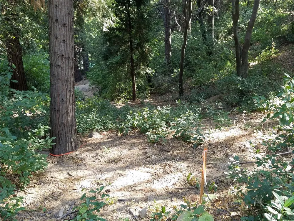 24093 Zurich Drive Crestline, CA 92325