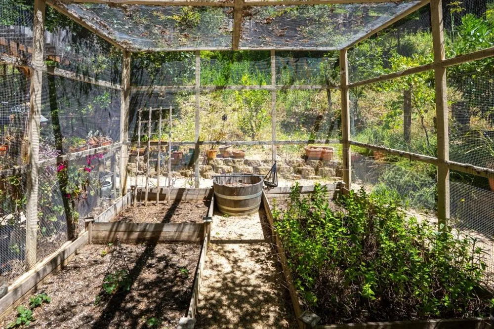 24250 Glenwood Drive Los Gatos, CA 95033