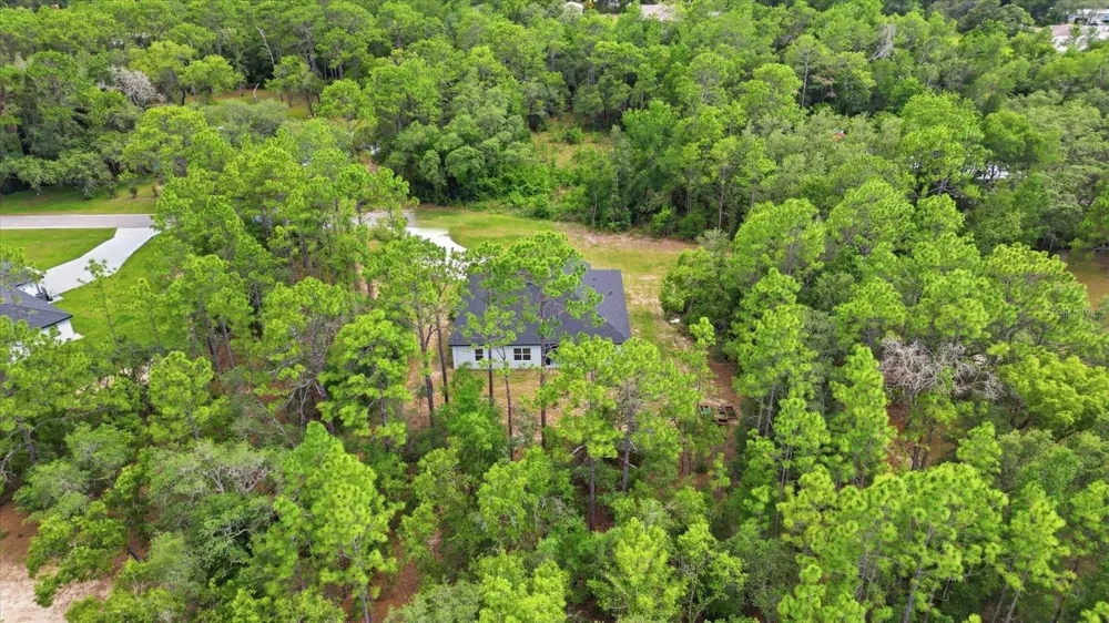 1427 W MINERAL COURT Hernando, FL 34442