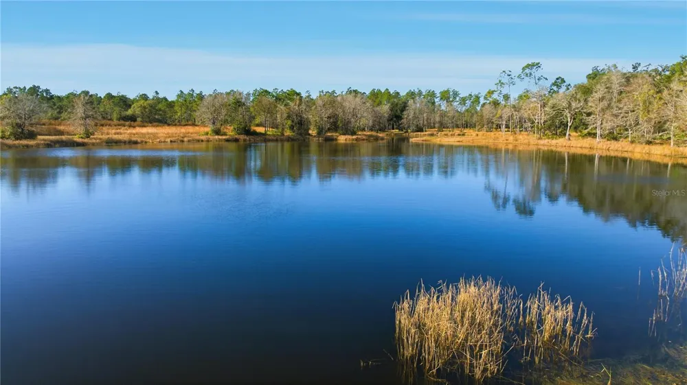 TBD (Lot 1) NE 115TH LANE ROAD Fort Mc Coy, FL 32134