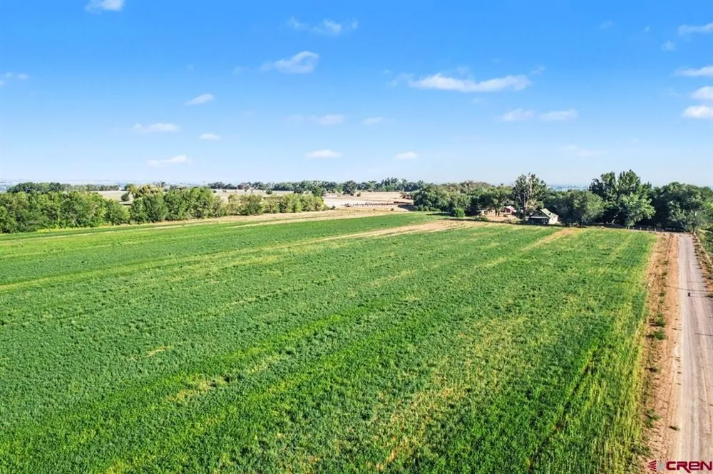 7531 High Mesa Road Olathe, CO 81425