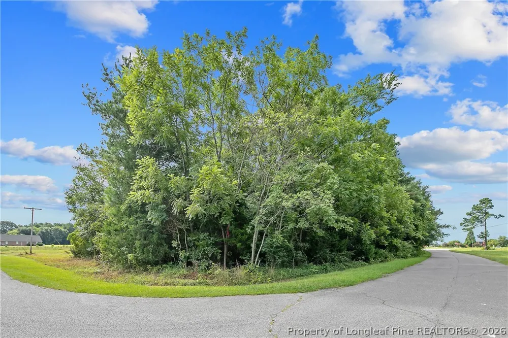 1631 FERNDALE DRIVE Fayetteville, NC 28314