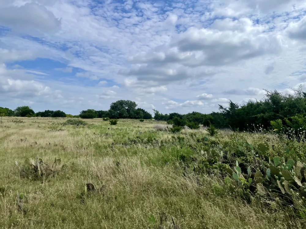 County Road 206 Lampasas, TX 76550
