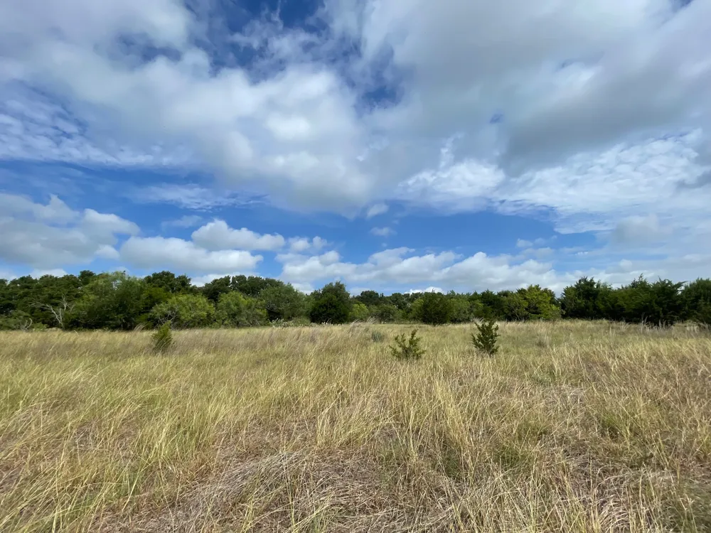County Road 206 Lampasas, TX 76550