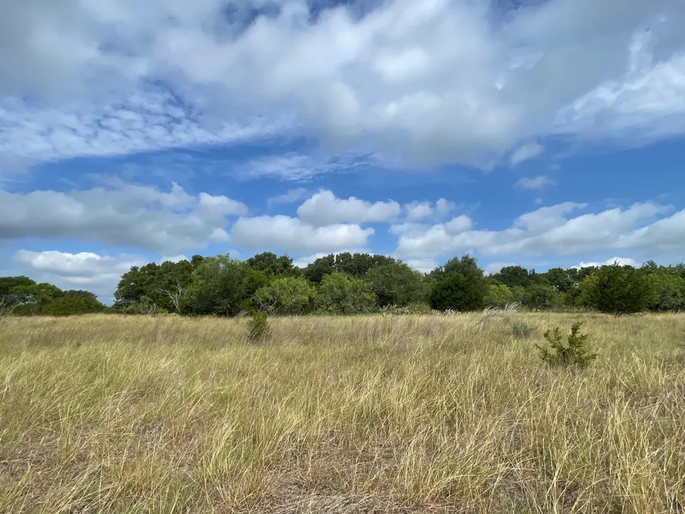 County Road 206 Lampasas, TX 76550