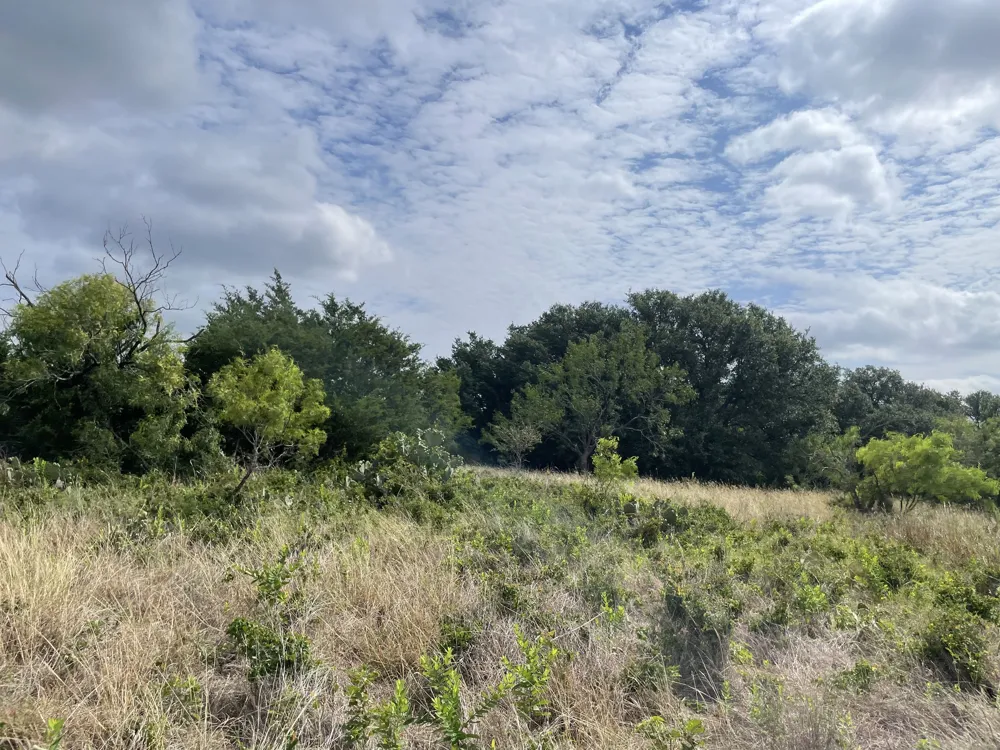 County Road 206 Lampasas, TX 76550