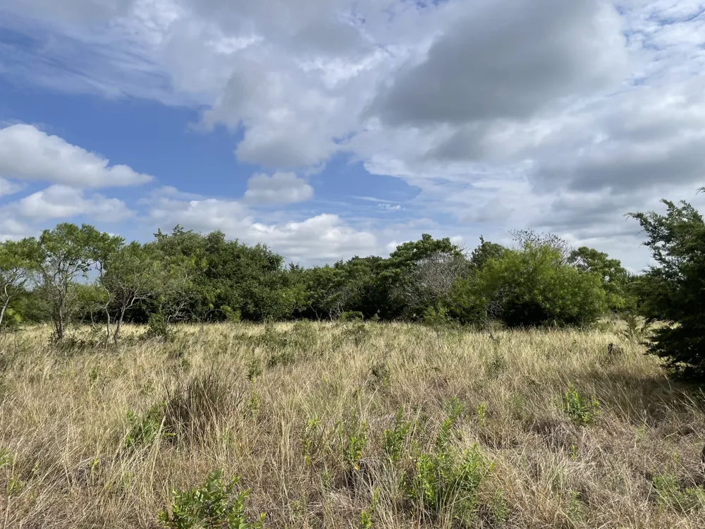 County Road 206 Lampasas, TX 76550