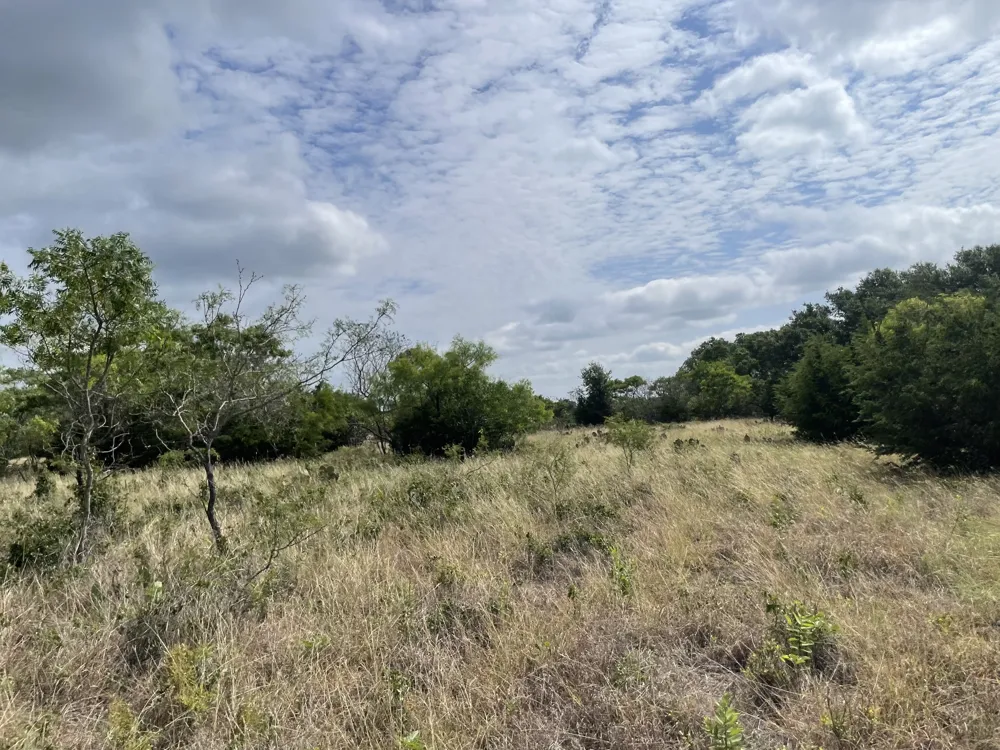 County Road 206 Lampasas, TX 76550