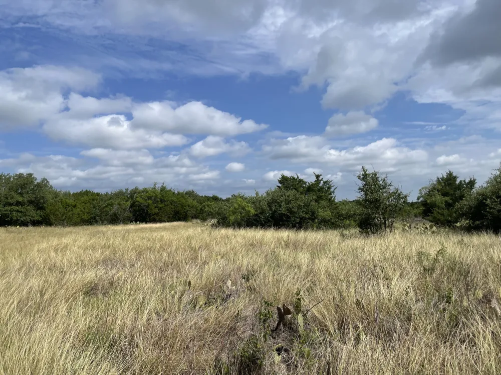 County Road 206 Lampasas, TX 76550