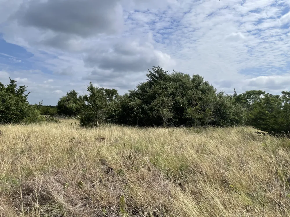 County Road 206 Lampasas, TX 76550