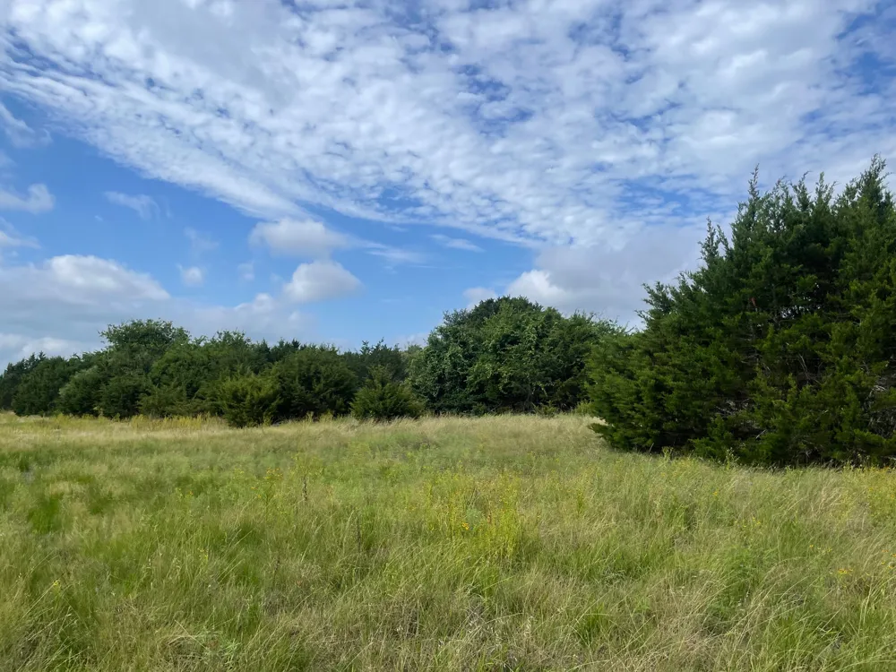 County Road 206 Lampasas, TX 76550