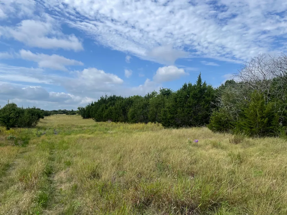 County Road 206 Lampasas, TX 76550
