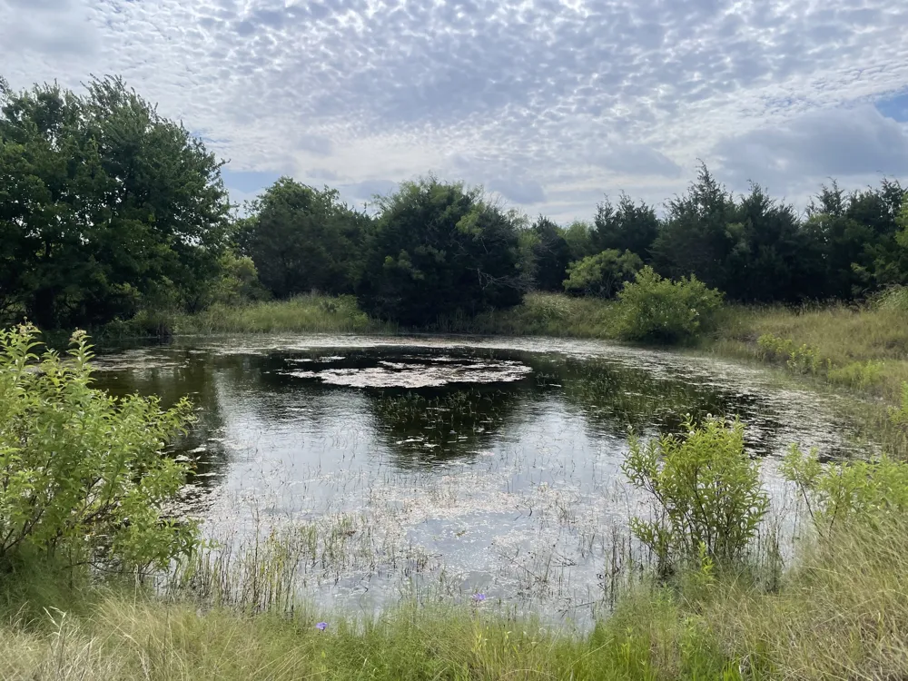 County Road 206 Lampasas, TX 76550