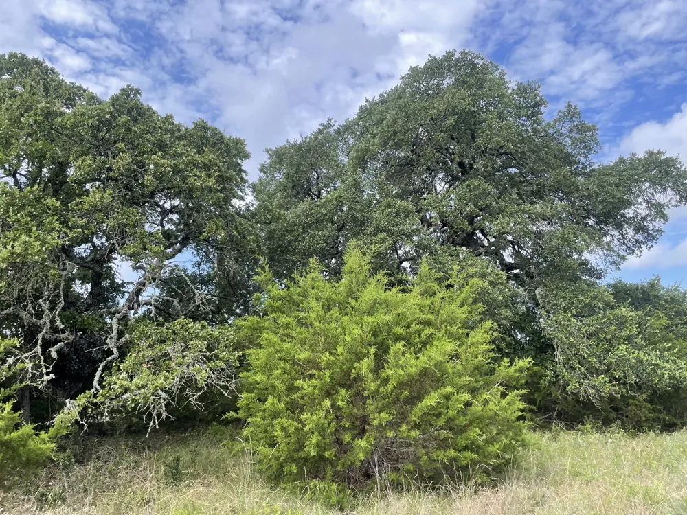 County Road 206 Lampasas, TX 76550