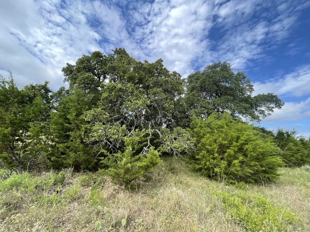 County Road 206 Lampasas, TX 76550