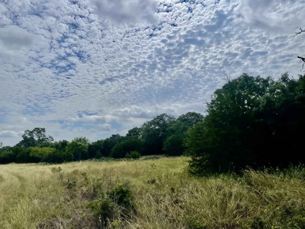 County Road 206 Lampasas, TX 76550
