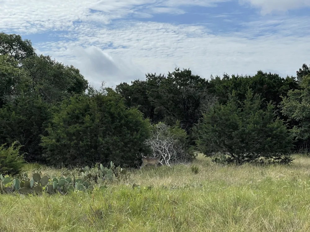 County Road 206 Lampasas, TX 76550