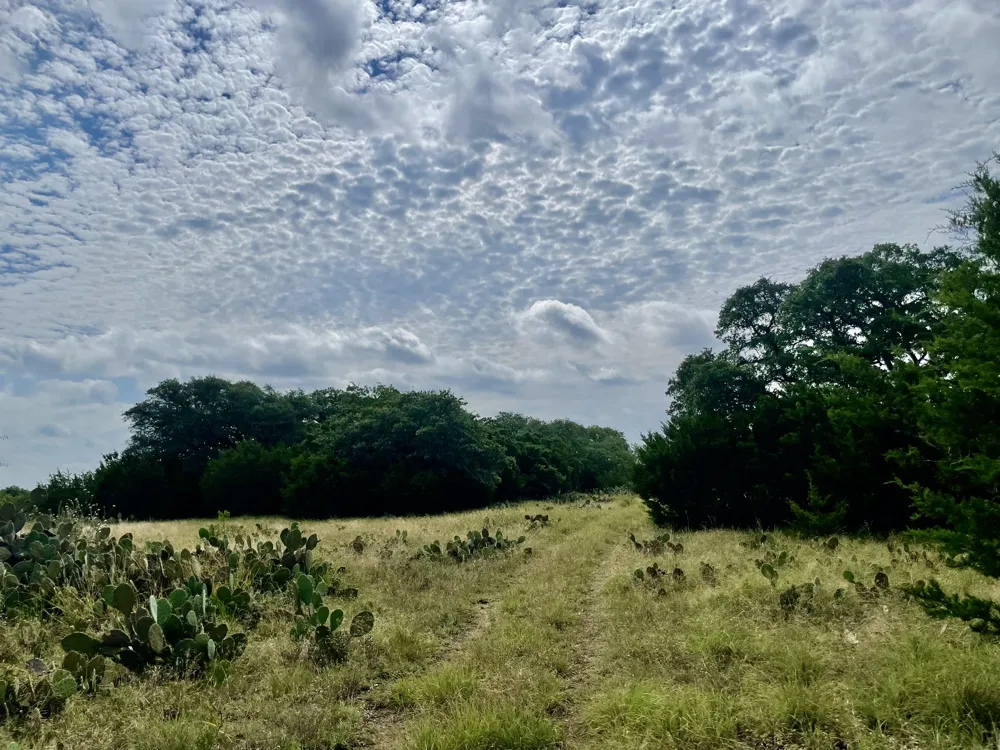 County Road 206 Lampasas, TX 76550