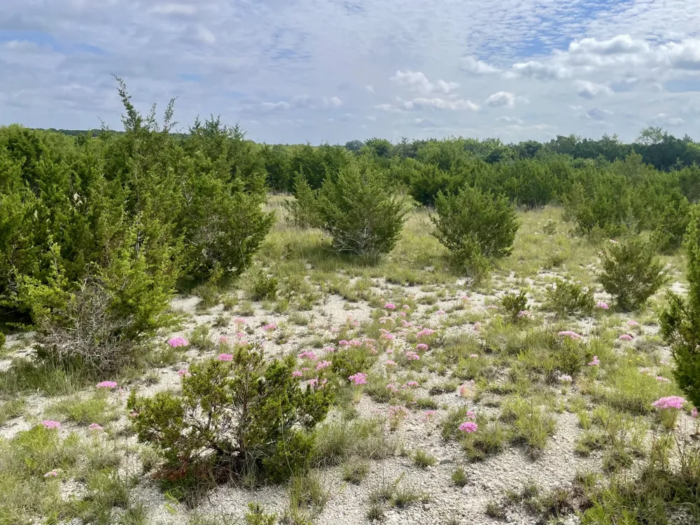 County Road 206 Lampasas, TX 76550