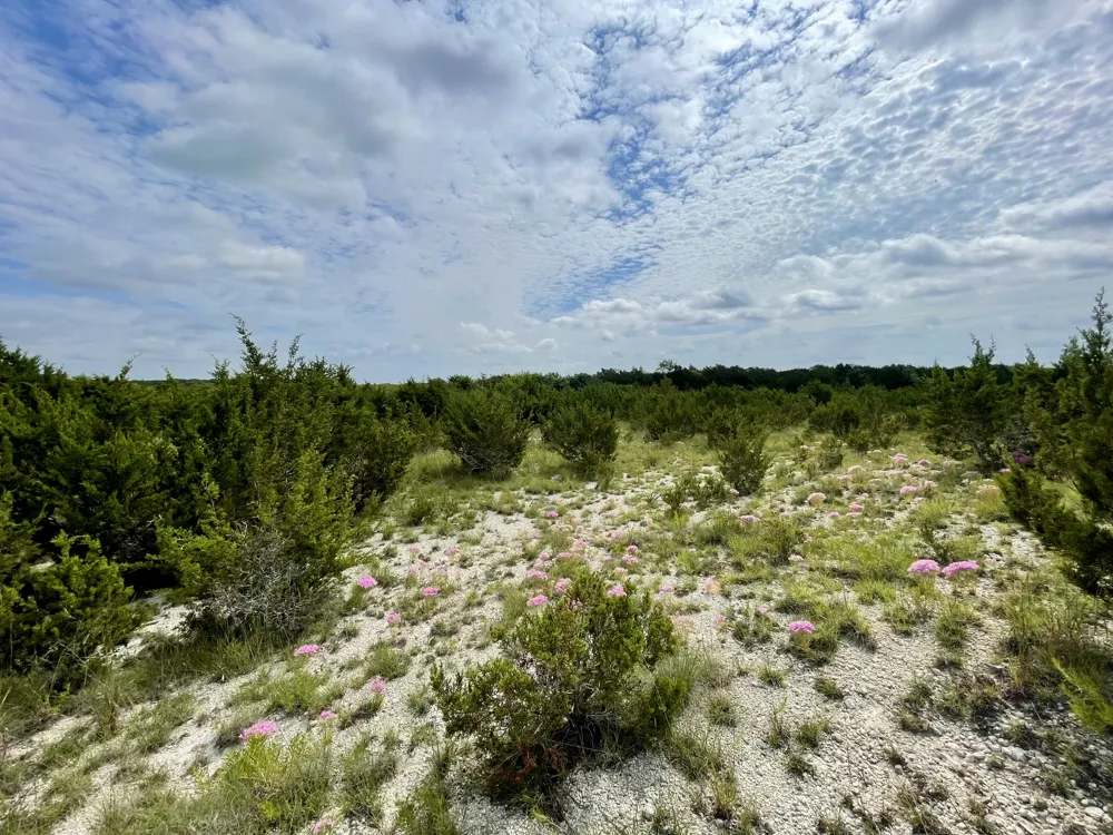 County Road 206 Lampasas, TX 76550