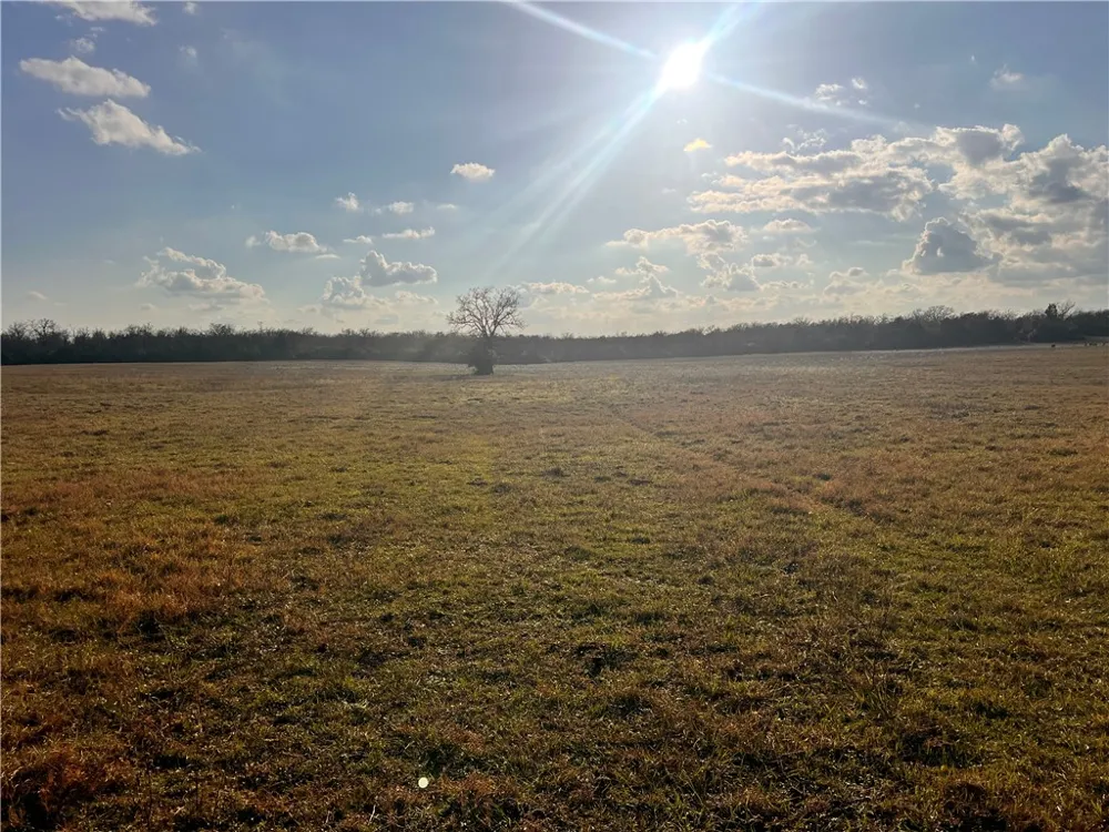 308 FM 1469 Marquez, TX 77865