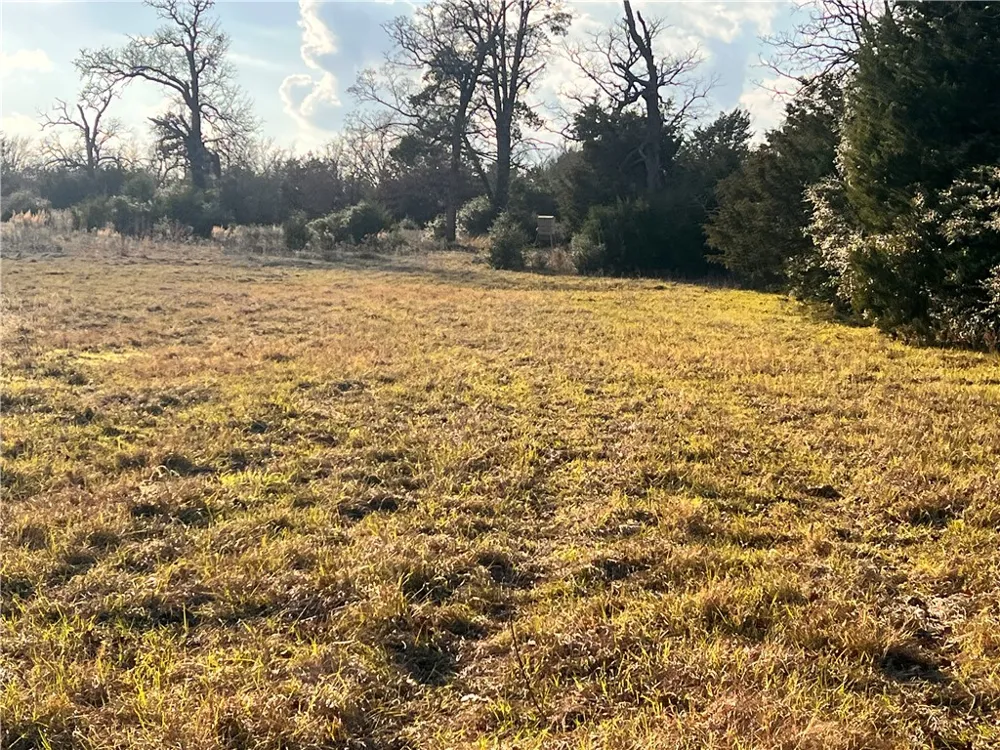 308 FM 1469 Marquez, TX 77865