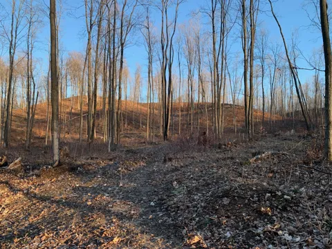 Off of Chief Road