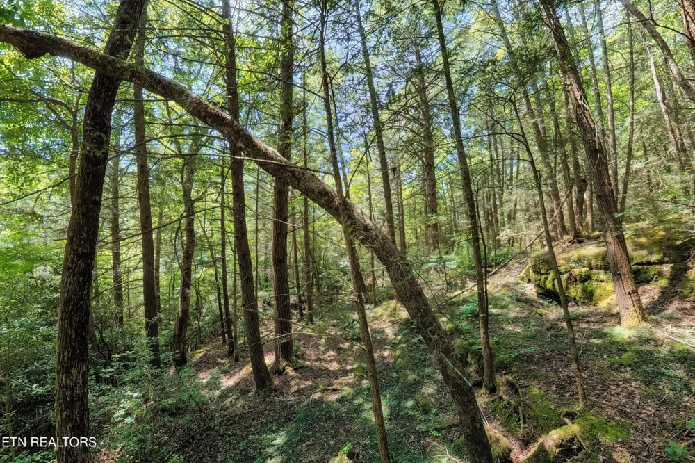 0 Leffle Webb Rd Crossville, TN 38572
