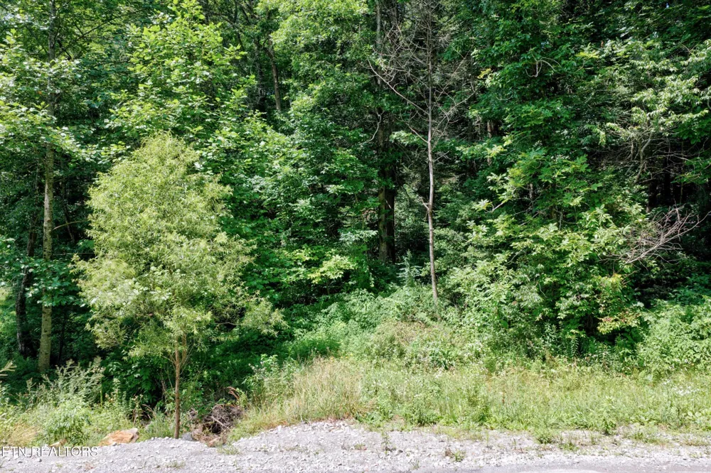 0 Leffle Webb Rd Crossville, TN 38572