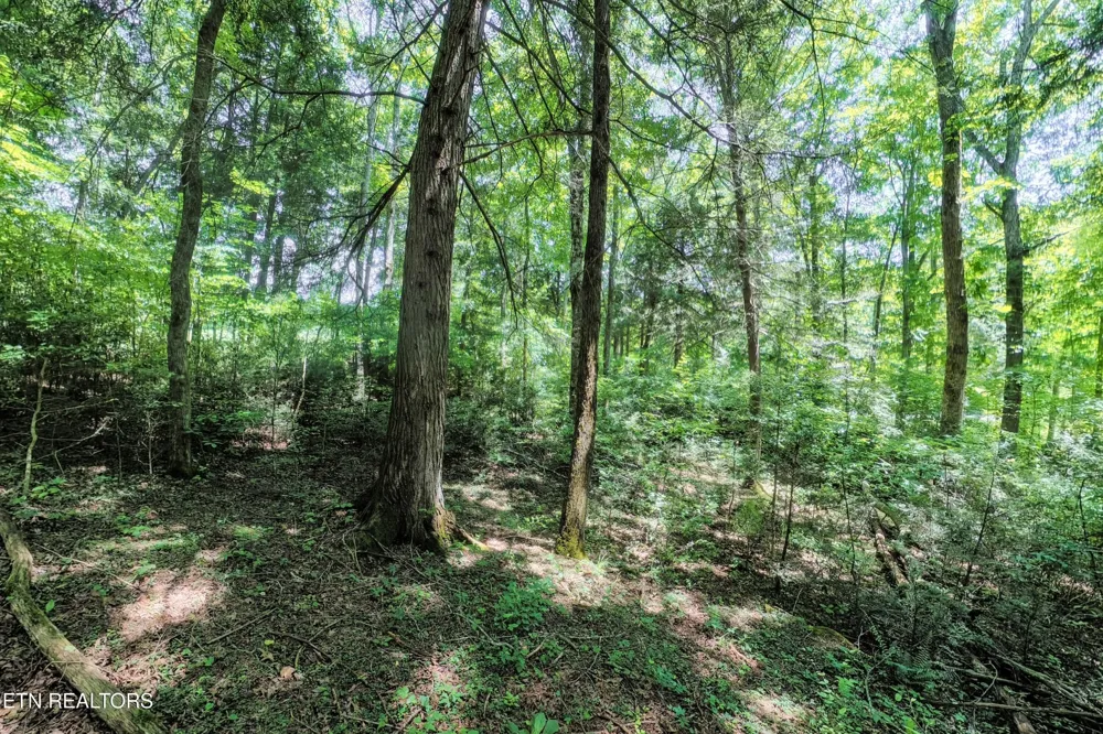 0 Leffle Webb Rd Crossville, TN 38572