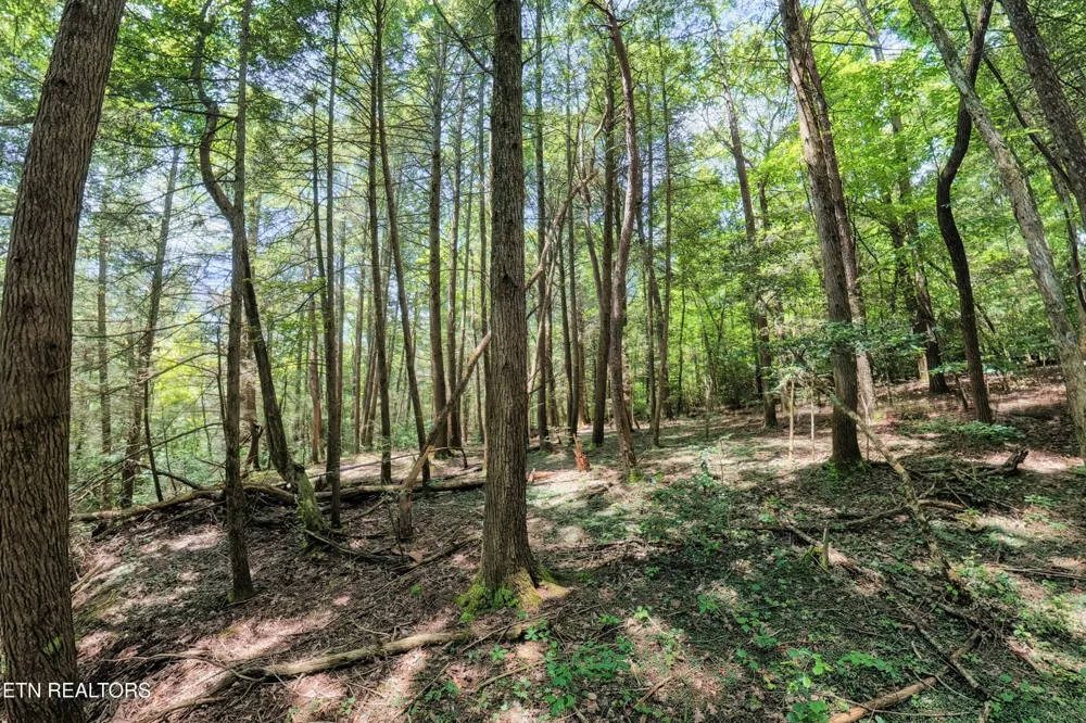 0 Leffle Webb Rd Crossville, TN 38572