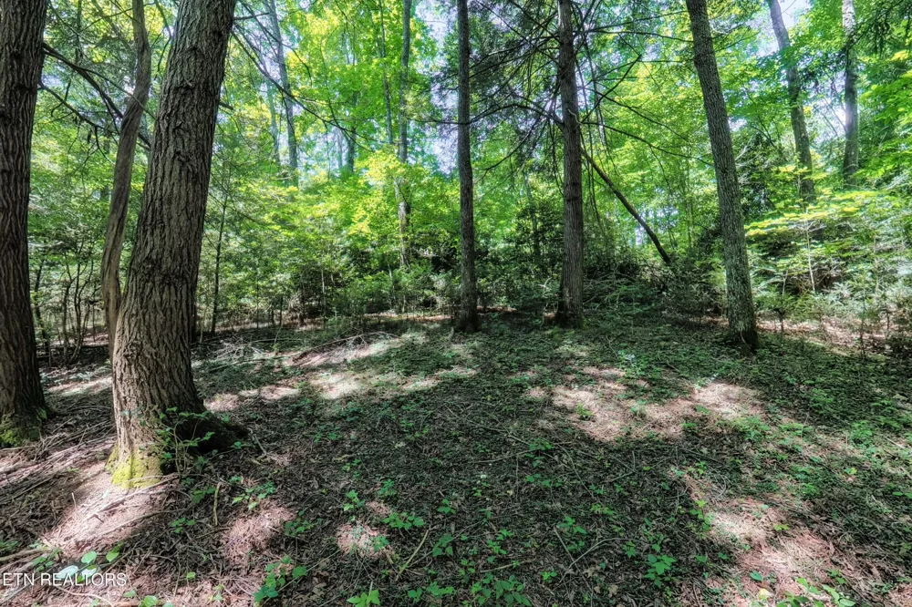 0 Leffle Webb Rd Crossville, TN 38572