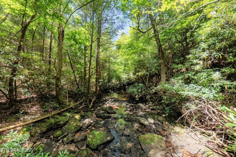 0 Leffle Webb Rd Crossville, TN 38572
