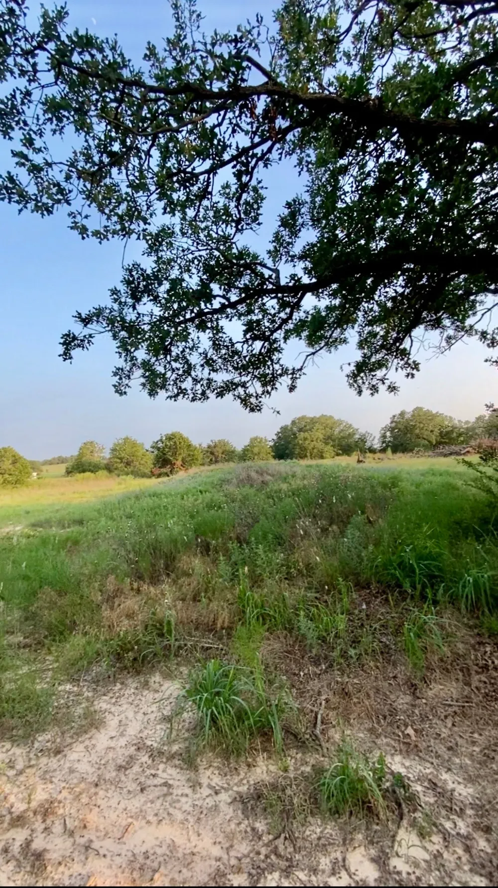 1704 County Road 3555 Paradise, TX 76073