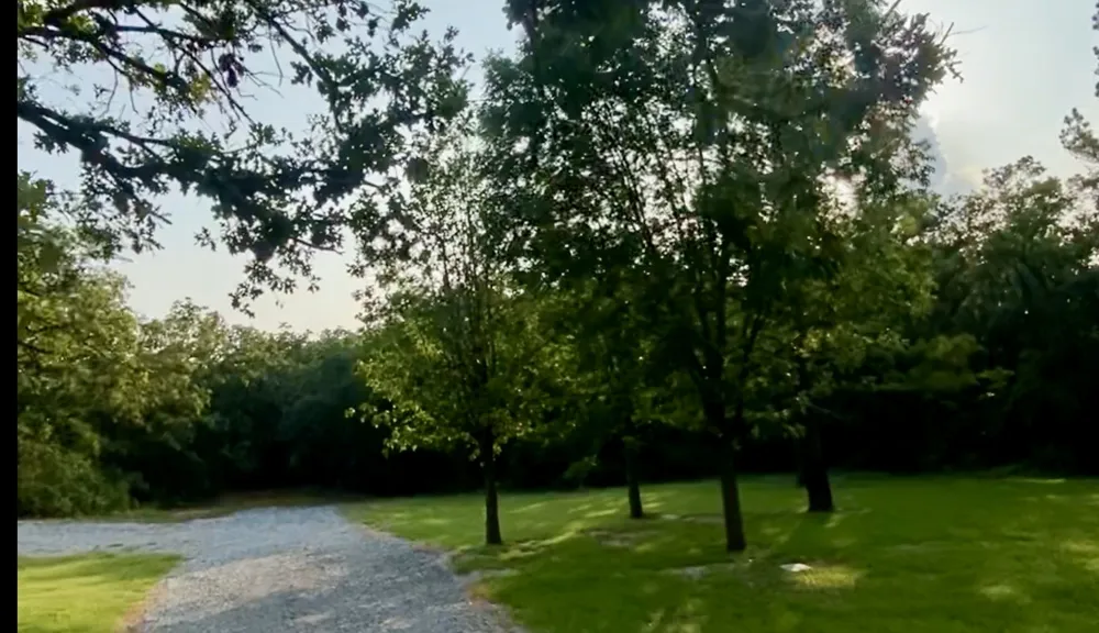 1704 County Road 3555 Paradise, TX 76073
