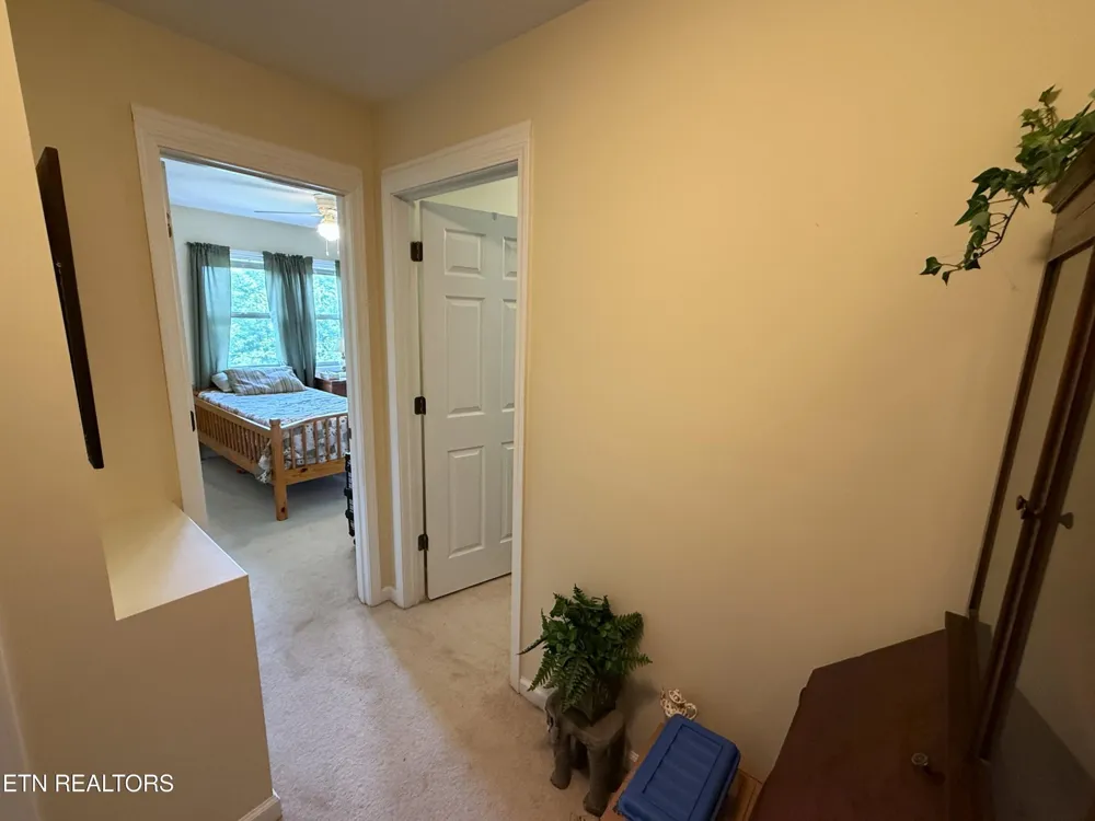 199 Pear Tree Way Del Rio, TN 37727